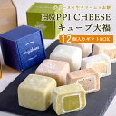 HAPPI CHEESEキューブ大福 12個入りギフトBOX グルテンフリー 冷凍 iHug Cheeseチーズ テリーヌ 大福 チョコ 餅 おしゃれ お菓子 和菓子 お取り寄せ スイーツ セット ギフト プレゼント 贈り物 贈答 お中元 お歳暮 お祝い 内祝い 手土産 個包装 愛知 アイハグチーズ
