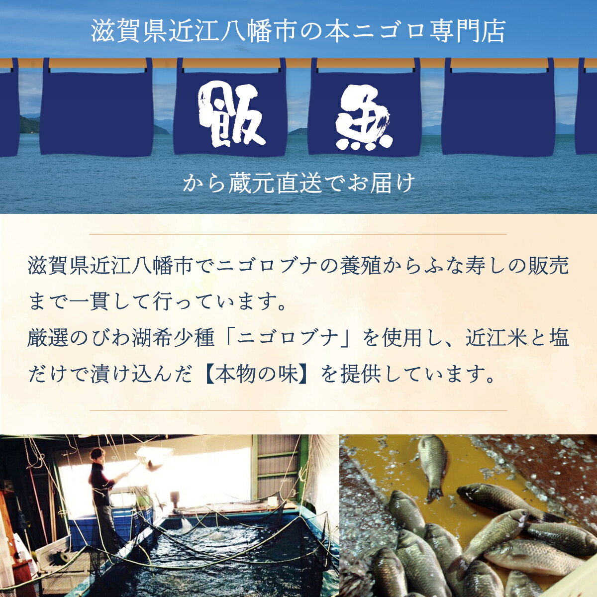 健康カマンベールチーズ ふなずしの発酵飯で熟成 滋賀県から産地直送鮒寿司 鮒ずし ふなずし チーズ 乳製品 ニゴロブナ にごろぶな ニゴロ鮒 にごろ鮒 本ニゴロ本舗 うすこ 琵琶湖 滋賀 近江八幡 飯魚 いお おかず おつまみ 肴 珍味 お取り寄せ 国産 健康
