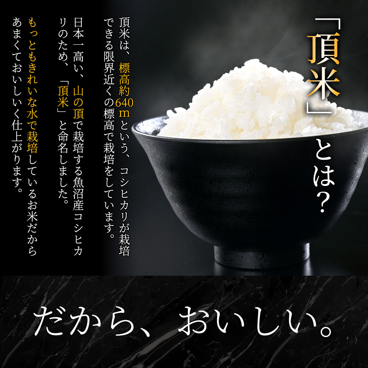 サンプル画像3