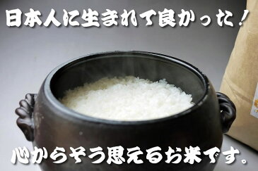 元年新米！有機JAS認定「天日干し！魚沼産こしひかり（白米）」5Kg（送料込）