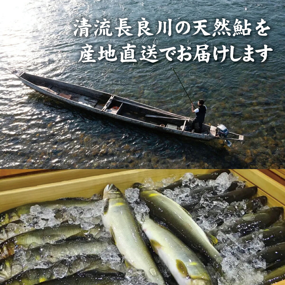 ��ήĹ���ŷ����1������65��70g�ˡ������ѡ�����ŷ�� �� ���� ���� ���� Ĺ���� ��ή ���� �ļ����� �������Ȱ仺 ��� ������ ������ ���渵 ������ ��ˤ� ��ʪ ���ڻ� �С��٥��塼