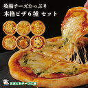 牧場チーズをたっぷり使った本格ピザ6種セット 北海道から直送 おおともチーズ工房冷凍 ピザ 牧場 pizza セット 本格 ナポリ 生地 イタリアン ナチュラル...