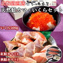 北海道 紅鮭・秋鮭カマ いくら白醤油漬け 親子セット 冷凍 シャケ番屋北海道 釧路市 天然鮭 さけ サケ 魚 いくら イクラ 魚卵 着色料不使用 海鮮 海鮮丼 ...