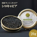 国産キャビア シロキャビア20g 島根県産フレッシュキャビア 国産 珍味 おつまみ 魚卵 魚 チョウザメ 無添加 冷凍 ギフト 贈答 高級 お取り寄せ 誕生日 ...