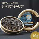 国産キャビア シベリアキャビア10g 島根県産フレッシュキャビア 国産 珍味 おつまみ 魚卵 魚 チョウザメ 無添加 冷凍 ギフト 贈答 高級 お取り寄せ 誕...