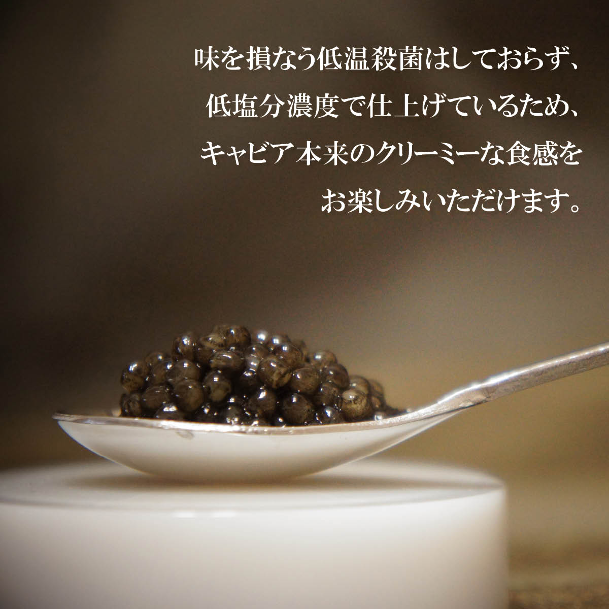 国産キャビア　ベステルキャビア25g　島根県産フレッシュキャビア 国産 珍味 おつまみ 魚卵 魚 チョウザメ 無添加 冷凍 ギフト 贈答 高級 お取り寄せ 誕生日 お中元 お歳暮 内祝い 父の日 島根 邑南町 セレビア