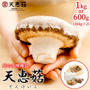 幻の肉厚特大椎茸 てんけいこ 1kg(10〜14枚) 600g(300g×2パック) 徳島椎茸ファームしいたけ 椎茸 なばし天415号 有機JAS菌床使用 グア...