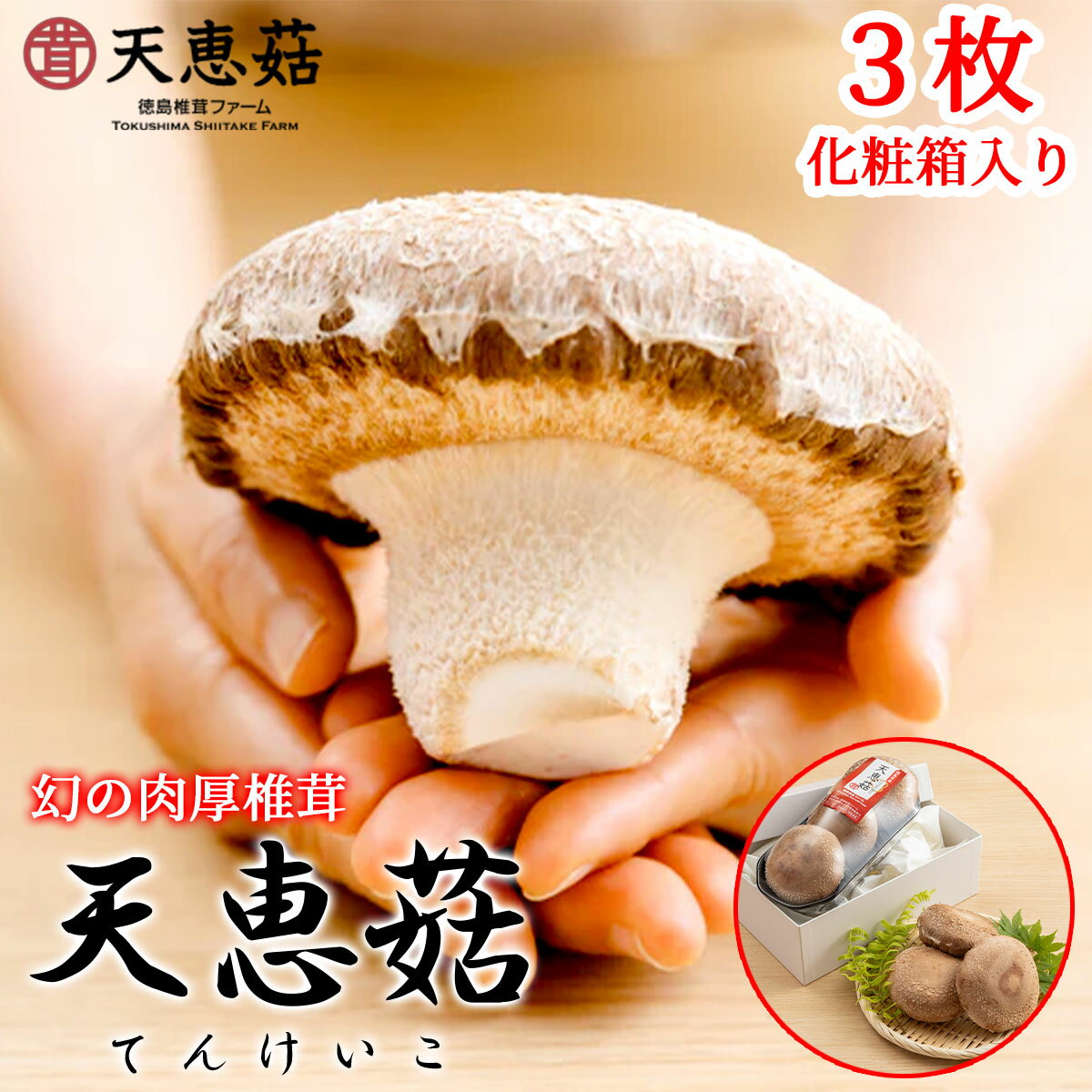 幻の肉厚椎茸 天恵こ てんけいこ 3枚 化粧箱入り 特大椎茸 徳島椎茸ファームしいたけ 椎茸 なばし天415号 有機JAS菌床使用 グアニル酸 きのこ 野菜 レシピ バーベキュー お取り寄せ グルメ 高級 ギフト 贈り物 プレゼント 贈答 徳島