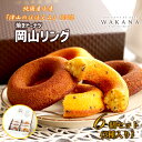焼きドーナツ 岡山リング 6個セット(3種入り) ドーナッツ パティスリーWAKANAお菓子 スイーツ 洋菓子 焼き菓子 洋菓子 おしゃれ かわいい 贈り物 個包装 プレゼント 内祝い お返し お祝い お中元 お歳暮 誕生日 手土産 熨斗 のし 名入れ 送料無料
