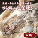 ゆら鯛の塩釜焼き500g　由良半島から産地直送でお届けタイ たい 真鯛 めで鯛 おすすめ 人気 産直 全国 配送 ギフト お祝い 祝い事 お中元 お歳暮 誕生日 入学 卒業 還暦 喜寿 米寿 お取り寄せ グルメ 送料 無料 愛媛 由良半島 豊後水道 宝水産