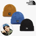 [THE NORTH FACE] ザノースフェイス WL STANDARD BEANIE ブランドロゴニット帽 帽子 男女共用 帽子カップル帽子ロゴ帽子 ユニセックス帽子 防寒用帽子 デイリー帽子 シンプル 暖かい ストリートスタイル かぶり心地の良いNE3BN51