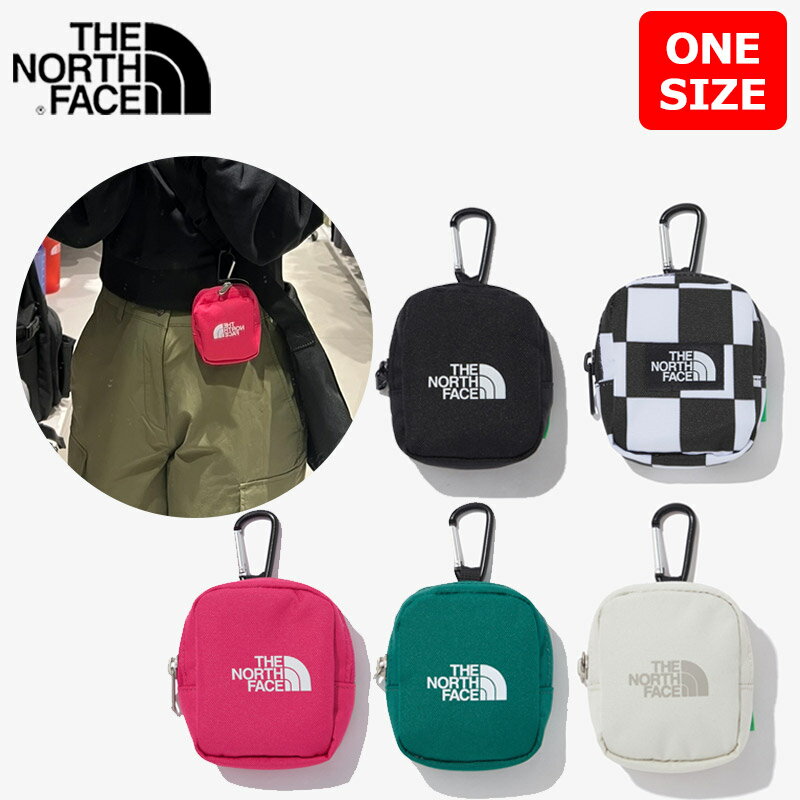 ザノースフェイス THE NORTH FACE ミニポーチ air podsなど手軽収納 コイン収納 便利 airpods/airpods pro ケース 巾着ポーチ 5色 ポケットポーチ 韓国ファッション NN2PP12