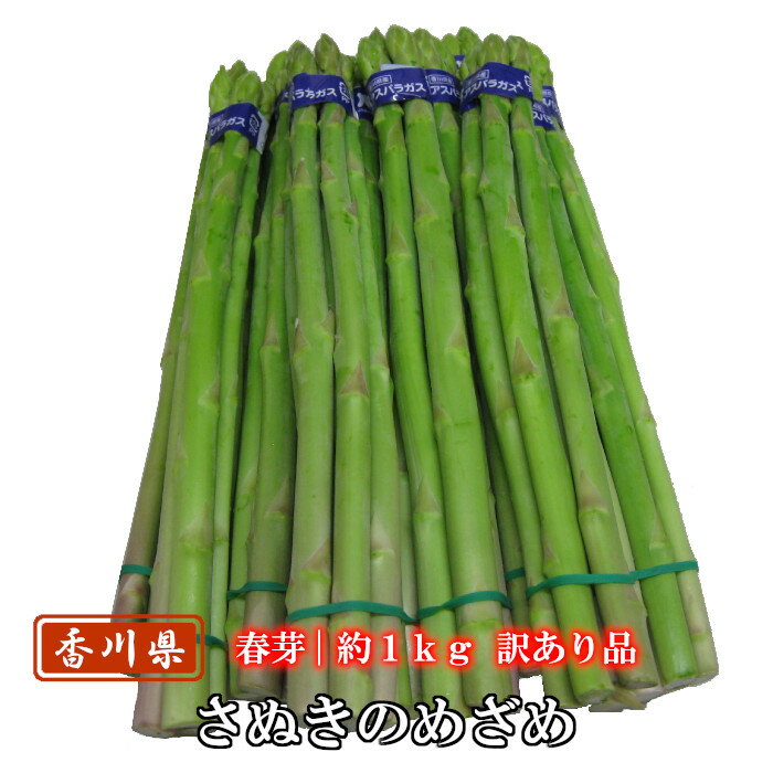 アスパラガス 訳ありさぬきのめざめ春芽 約1kg サイズ混合 香川県産のサムネイル