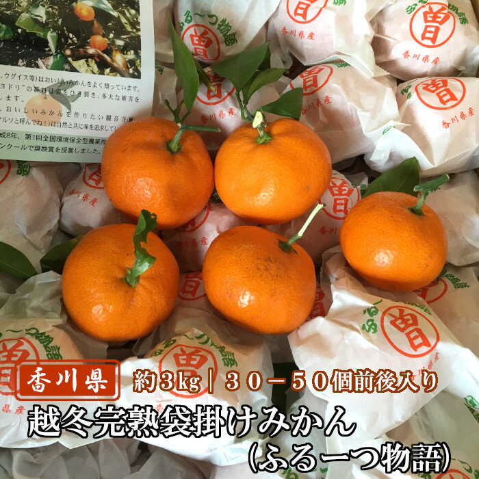 【予約商品】越冬完熟袋掛けみかん（ふるーつ物語）約3kg（約30-50個） 香川県産のサムネイル