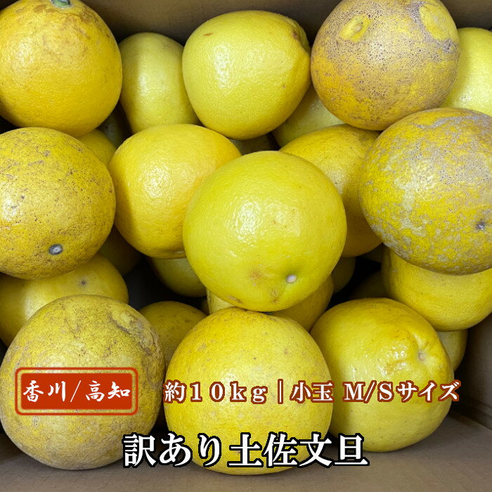 訳あり土佐文旦 小玉サイズ（M/S） 約10kg 高知県産/香川県産のサムネイル
