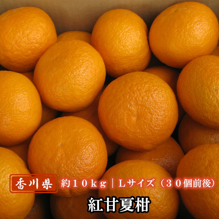 紅甘夏柑 秀品 約10kg（30個前後） 香川県産