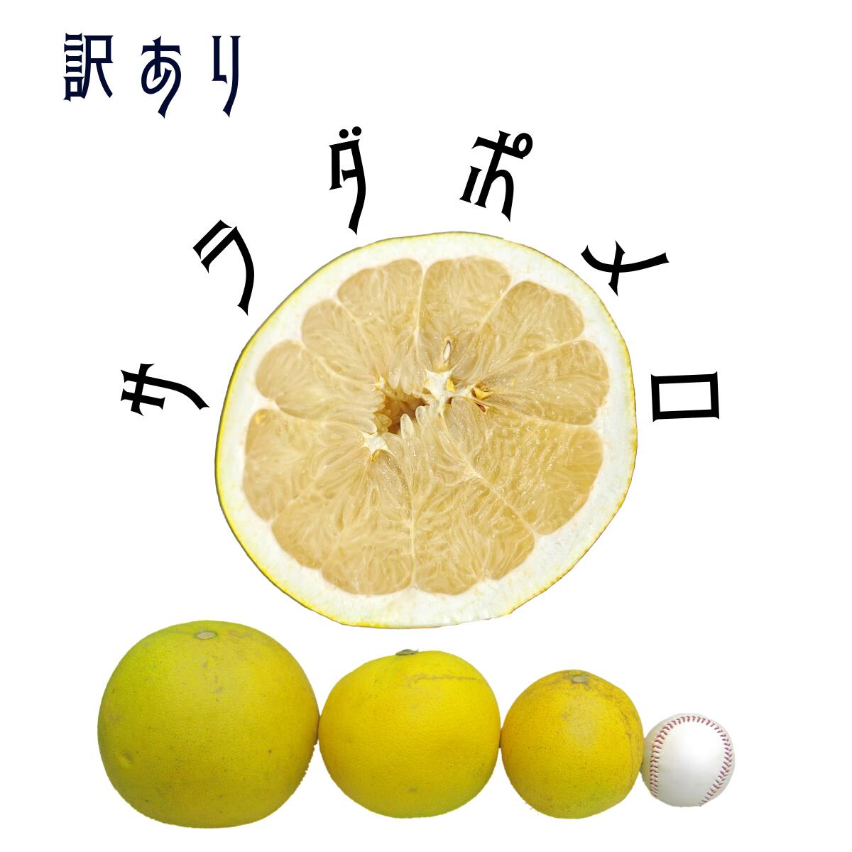 訳ありサラダポメロ 3kg or 6kg 香川県産 | 文旦 家庭用