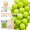 【香川県産 シャインマスカット】秀品 約600g 種なし 皮ごと食べられる 高糖度ぶどう