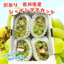 訳あり シャインマスカット 2kg 3房 ~ 5房 香川県産 家庭用 クール便 送料無料 | 葡萄 ぶどう ブドウ シャイン マスカット フルーツ 敬老の日