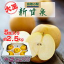 【鳥取の梨】新甘泉 大玉5玉 2.5kg 糖度13-15度 鳥取県産 しんかんせん梨 赤梨 青梨食感 送料無料