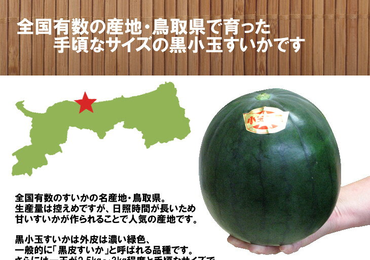 訳あり すいか 送料無料 鳥取県産 大栄黒小玉スイカ 1玉 約2.5kg 3〜4玉 約10kg 選...