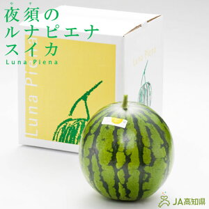 ルナピエナ 1玉 約 2.5kg 高知県 夜須産 化粧箱 | 贈答用 西瓜 スイカ すいか ルナ・ピエナ 御歳暮