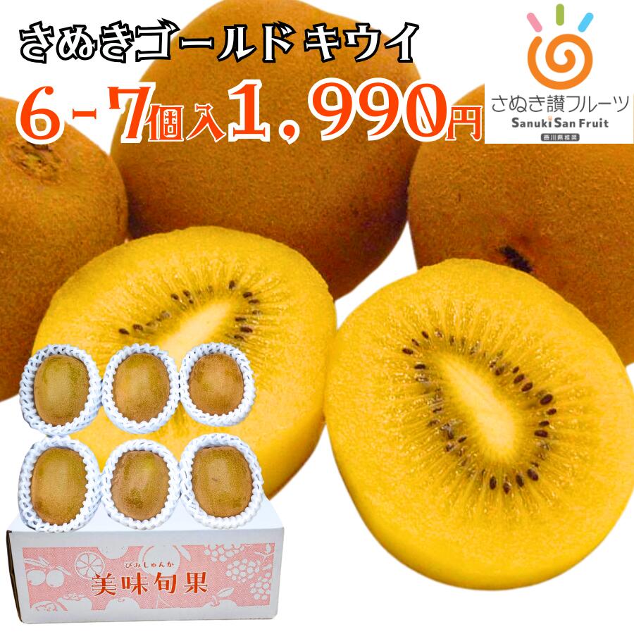 【送料無料】香川県産 さぬきゴールドキウイ 黄様 6~7個入 2L/L 約1kg おためしサイズ 糖度14.5度以上 キウイフルーツ 国産 ギフト 贈答 お歳暮 御歳暮 フルーツ 果物