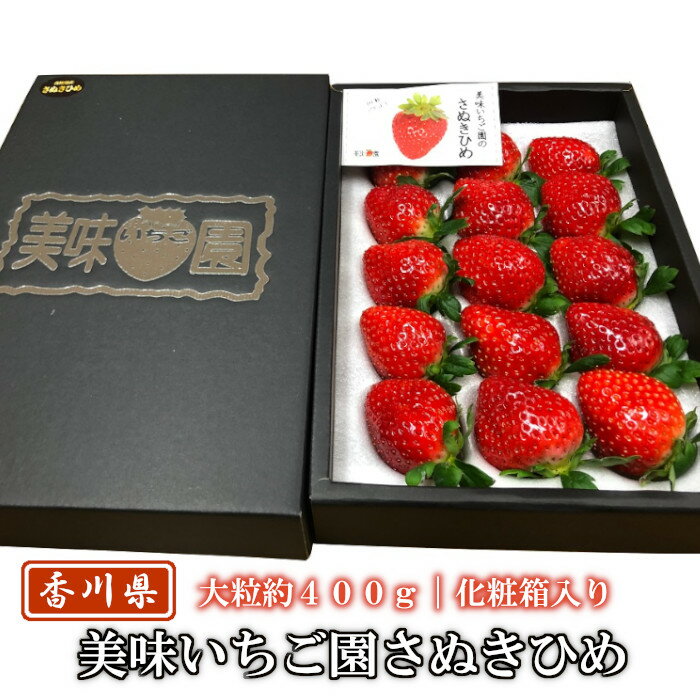 いちご 美味いちご園 さぬきひめ 大粒約400g化粧箱入り（12-15粒） 香川県産