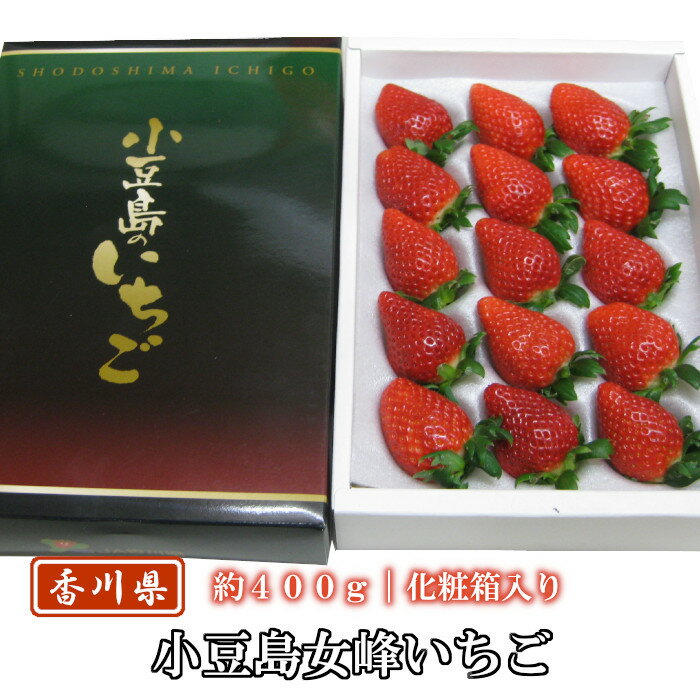 いちご 小豆島の女峰いちご 約400g 12-18粒入り 香川県産
