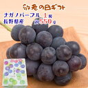 【敬老の日 ギフト】ナガノパープル 秀品 約550g(1房)長野県産 種なし皮ごと食べられるぶどう 冷蔵便 のし対応可
