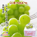 【敬老の日 ギフト】長野県産 シャインマスカット 1房 約550g 秀品 化粧箱入り 種なし 皮ごと食べられる 高級ぶどう 冷蔵便対応 のし対応可