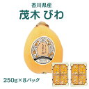 香川県産 枇杷 茂木びわ 秀品 250g×8パック(2箱) 約2kg 冷蔵便/びわ 枇杷 国産 フルーツ ギフト 贈答用 家庭用 果物