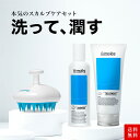 【300円OFFクーポン配布中】セット シャンプー トリートメント シャンプーブラシ ヒト幹細胞培養液 送料無料 メンズ シリコンブラシ アミノ酸 頭皮マッサー...