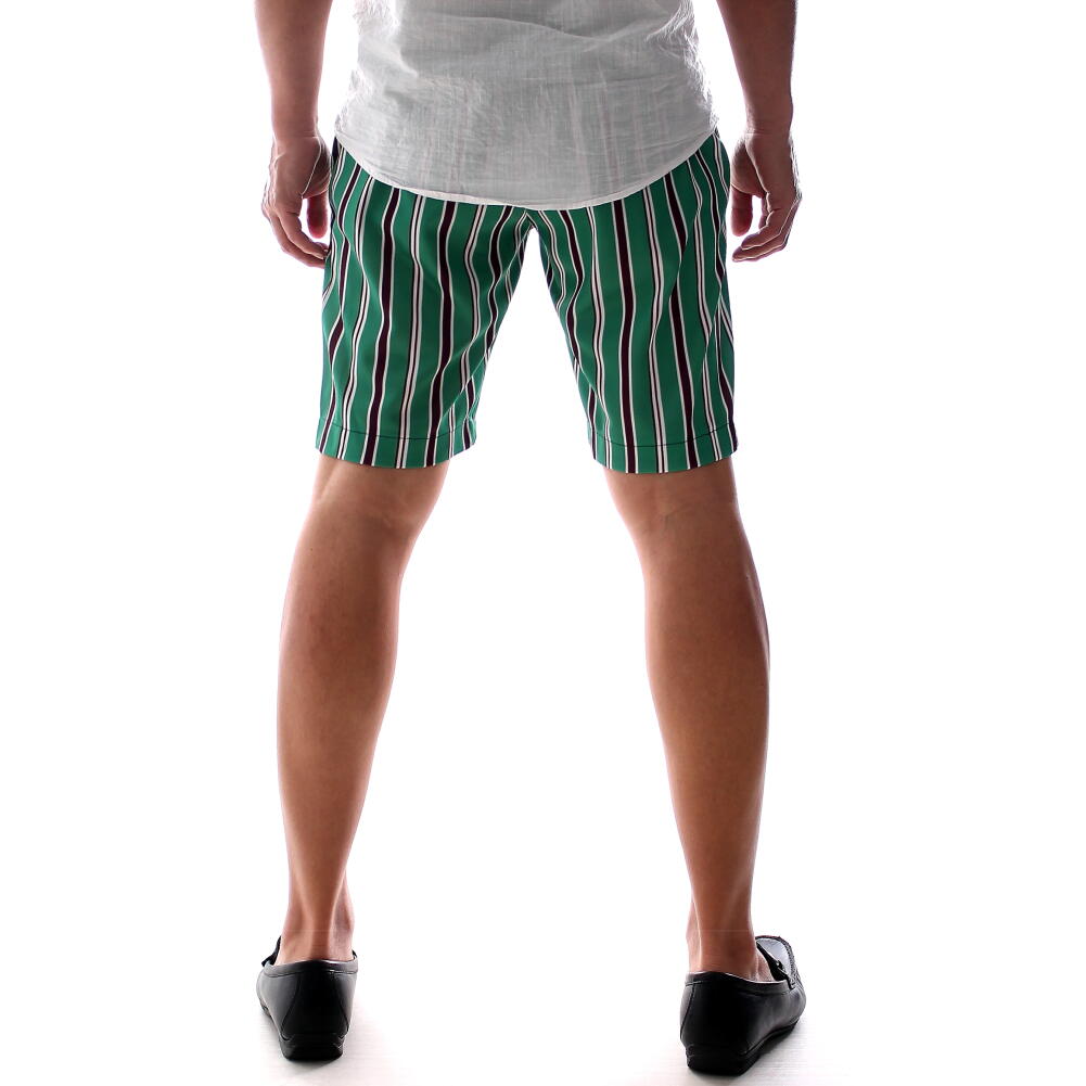 ハーフパンツ ショートパンツ ストライプ 膝上 スリム 緑/白/茶 30～36インチまで...