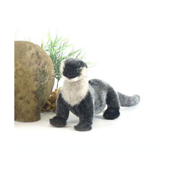 楽天市場】ケーセン カワウソの通販