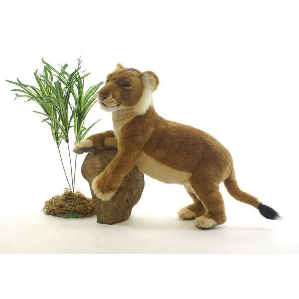 Lion - HANSA 子ライオン42 L42(cm) 5745 ぬいぐるみ ハンサ クリスマス 誕生日 プレゼント 動物 犬 猫 鳥 うさぎ ペンギン アニマル 置物 人形 フィギュア KOESEN ケーセン 大きい マスコット 実物大 大型