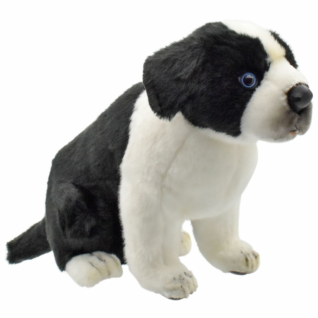 乐天商城 - HANSA 5664 ボーダーコリー(コ)35 全長：35cm BORDER COL BH5664 ぬいぐるみ ハンサ クリスマス 誕生日 プレゼント 動物 犬 猫 鳥 うさぎ ペンギン アニマル 置物 人形 フィギュア KOESEN ケーセン 大きい マスコット 実物大 大型