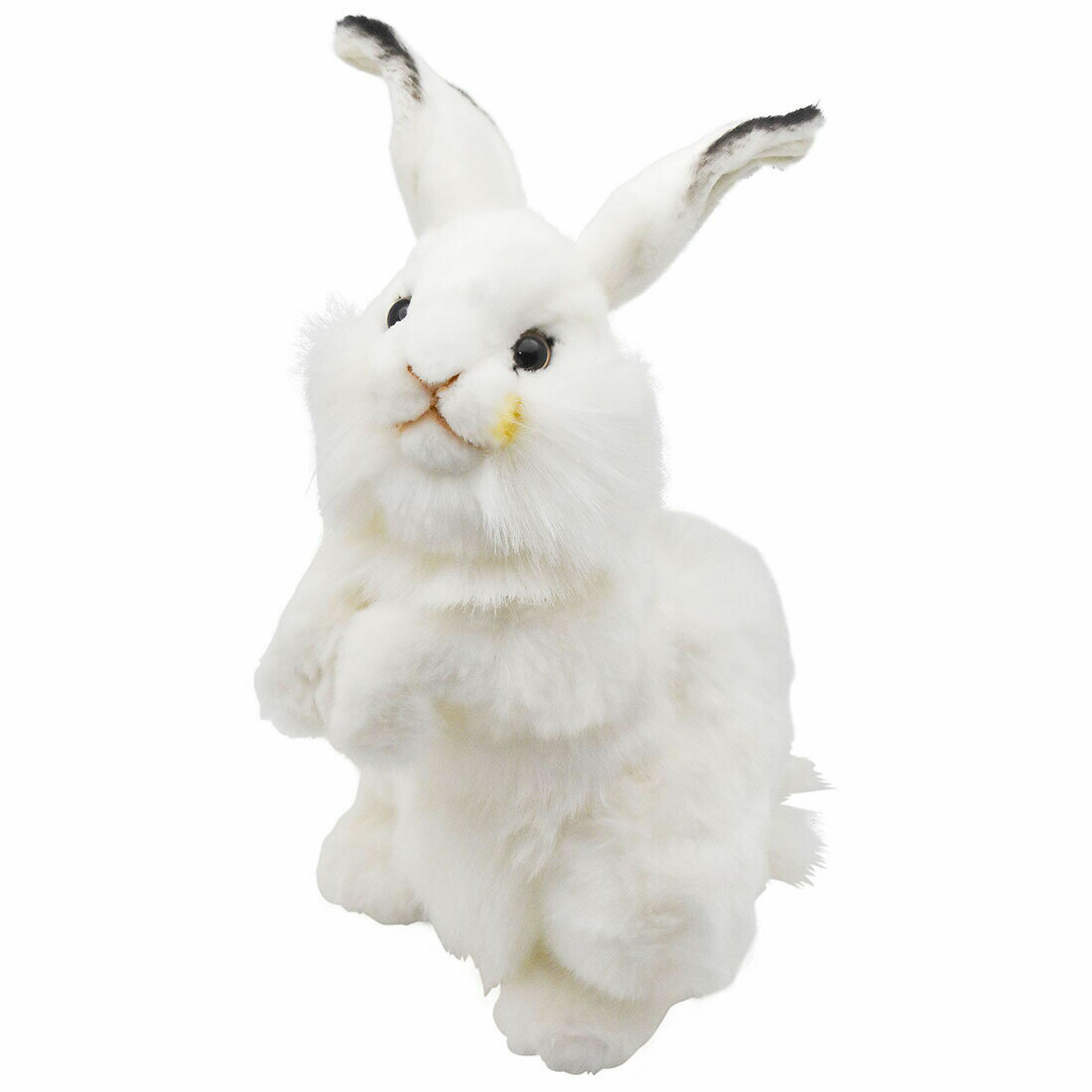 乐天商城 - HANSA 3313 白ウサギ35 ぬいぐるみ ハンサ 兎 クリスマス 誕生日 プレゼント 動物 犬 猫 鳥 うさぎ ペンギン アニマル 置物 人形 フィギュア KOESEN ケーセン 大きい マスコット 実物大 大型