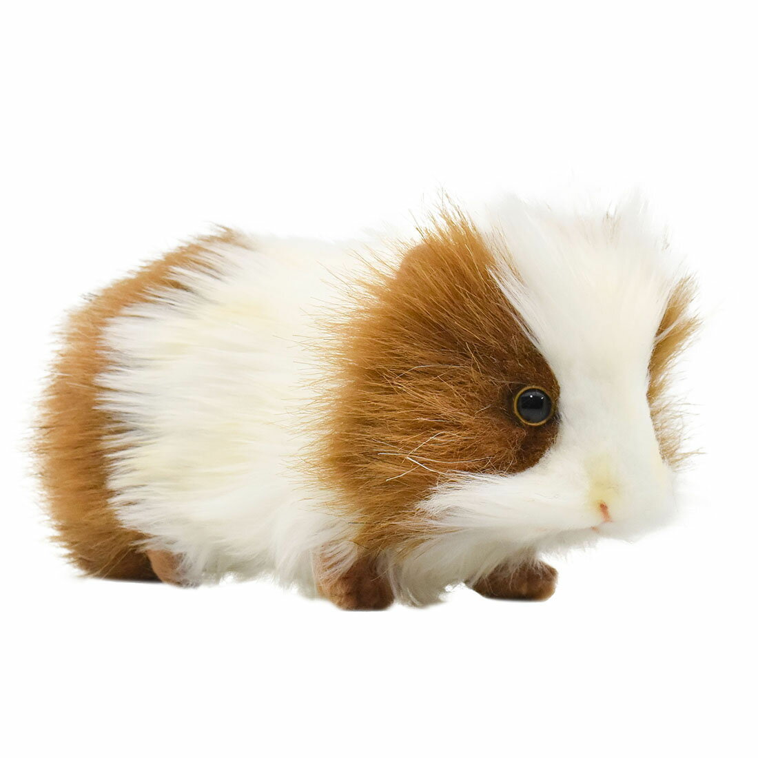 乐天商城 - HANSA 3735 テンジクネズミ20 全長：20cm GUINEA PIG BH3735 ぬいぐるみ ハンサ クリスマス 誕生日 プレゼント 動物 犬 猫 鳥 うさぎ ペンギン アニマル 置物 人形 フィギュア KOESEN ケーセン 大きい マスコット 実物大 大型