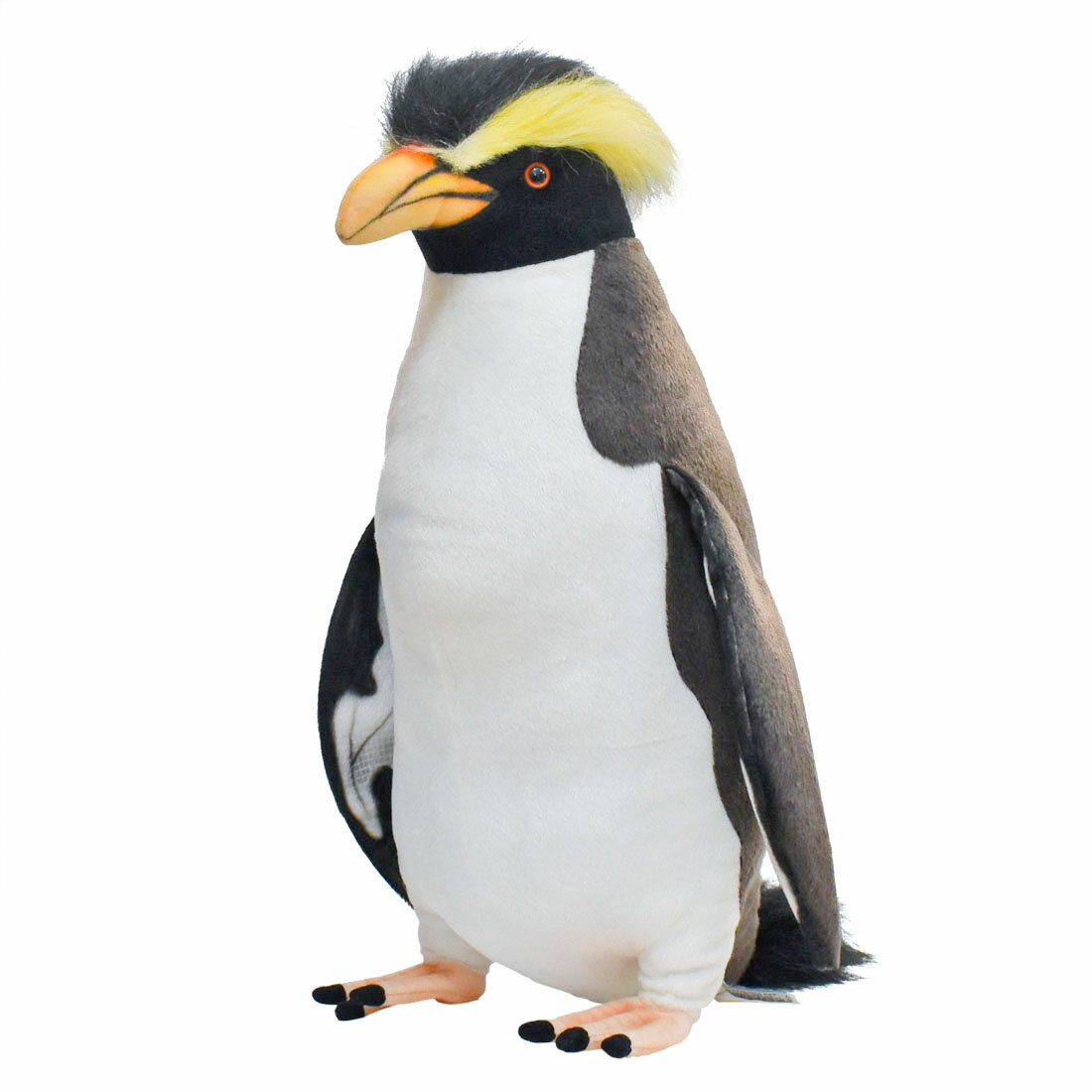 乐天商城 - HANSA 7120 イワトビペンギン50 全長：50cm ROCK HOPPER BH7120 ぬいぐるみ ハンサ クリスマス 誕生日 プレゼント 動物 犬 猫 鳥 うさぎ ペンギン アニマル 置物 人形 フィギュア KOESEN ケーセン 大きい マスコット 実物大 大型