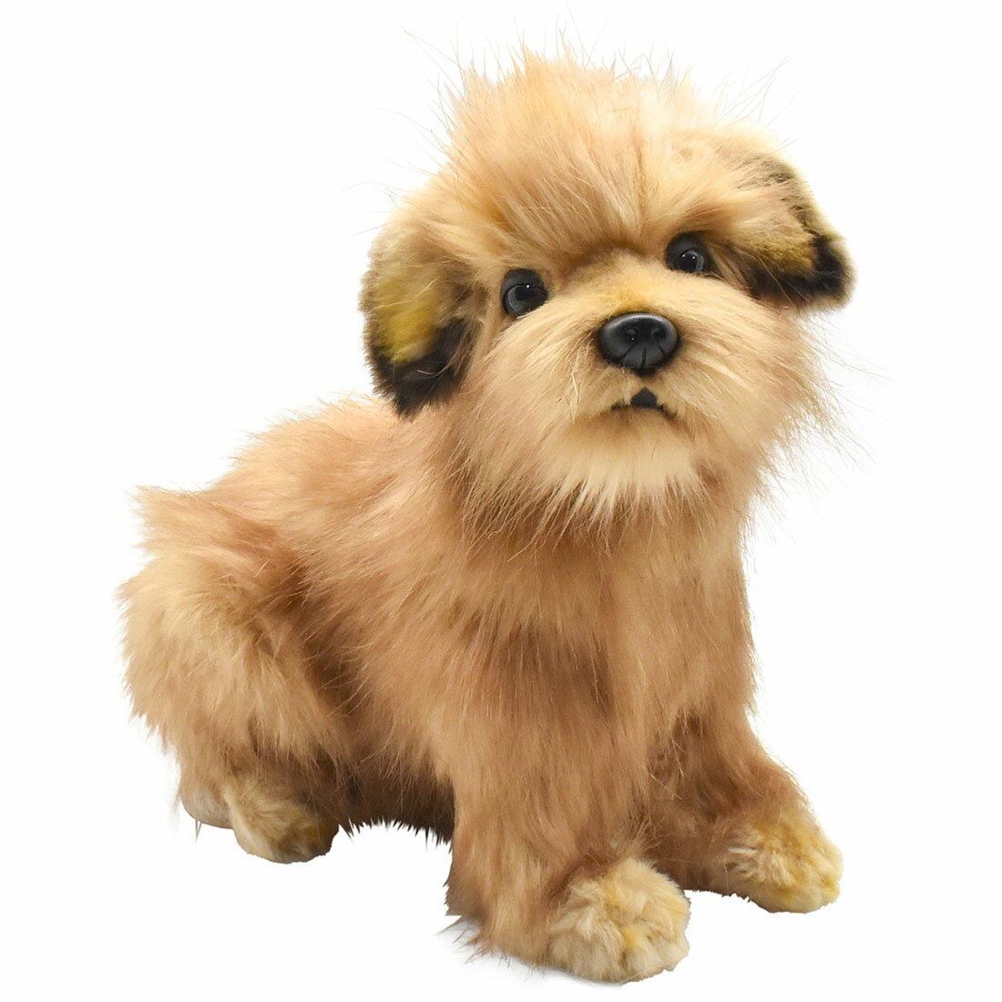 Rakuten - HANSA 4126　ノーフォークテリア23 H23(cm) ぬいぐるみ ハンサ クリスマス 誕生日 プレゼント 動物 犬 猫 鳥 うさぎ ペンギン アニマル 置物 人形 フィギュア KOESEN ケーセン 大きい マスコット 実物大 大型