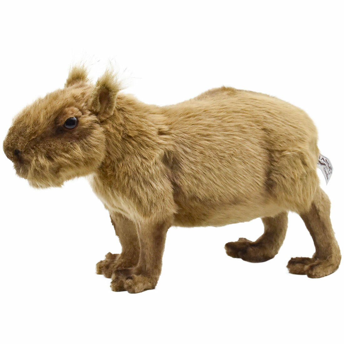 乐天商城 - HANSA カピバラ33 L33(cm) 5128 ぬいぐるみ ハンサ クリスマス 誕生日 プレゼント 動物 犬 猫 鳥 うさぎ ペンギン アニマル 置物 人形 フィギュア KOESEN ケーセン 大きい マスコット 実物大 大型