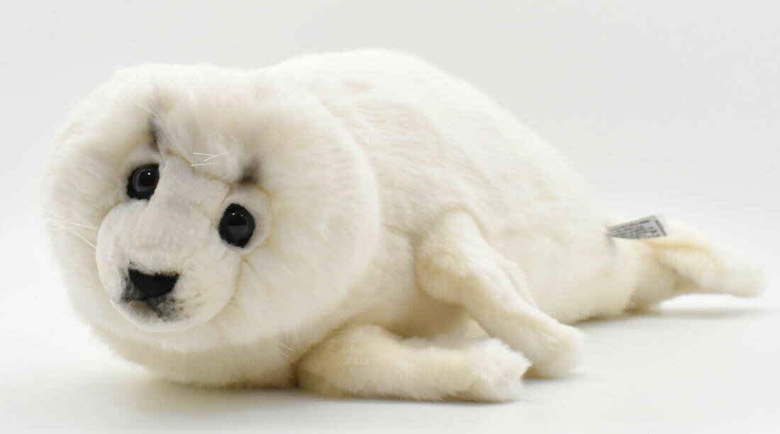 乐天商城 - HANSA アザラシ50 L50(cm) 5653 ぬいぐるみ ハンサ クリスマス 誕生日 プレゼント 動物 犬 猫 鳥 うさぎ ペンギン アニマル 置物 人形 フィギュア KOESEN ケーセン 大きい マスコット 実物大 大型