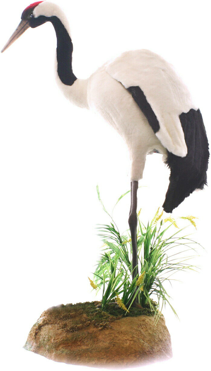 乐天商城 - HANSA タンチョウ72 H72(cm) 5720 ぬいぐるみ ハンサ クリスマス 誕生日 プレゼント 動物 犬 猫 鳥 うさぎ ペンギン アニマル 置物 人形 フィギュア KOESEN ケーセン 大きい マスコット 実物大 大型