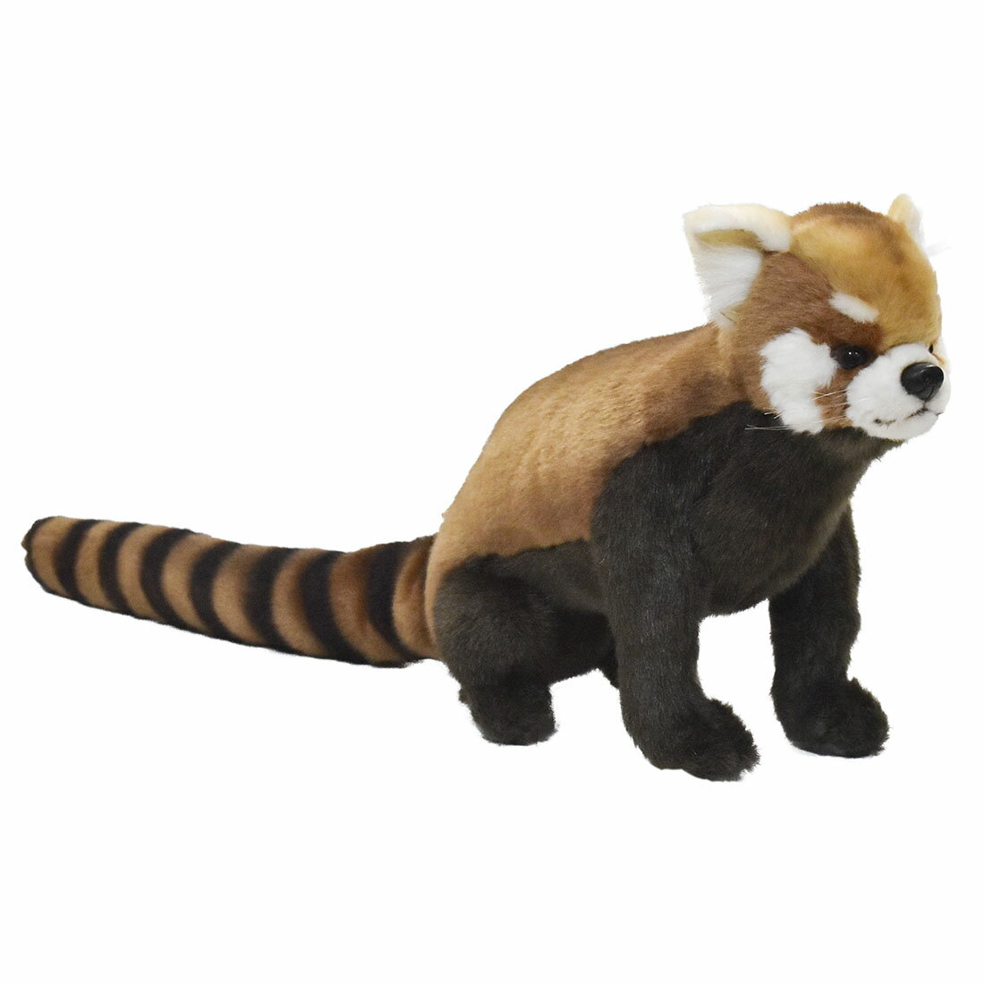 乐天商城 - HANSA 6301 レッサーパンダ61 全長：61cm RED PANDA SIT BH6301 ぬいぐるみ ハンサ クリスマス 誕生日 プレゼント 動物 犬 猫 鳥 うさぎ ペンギン アニマル 置物 人形 フィギュア KOESEN ケーセン 大きい マスコット 実物大 大型