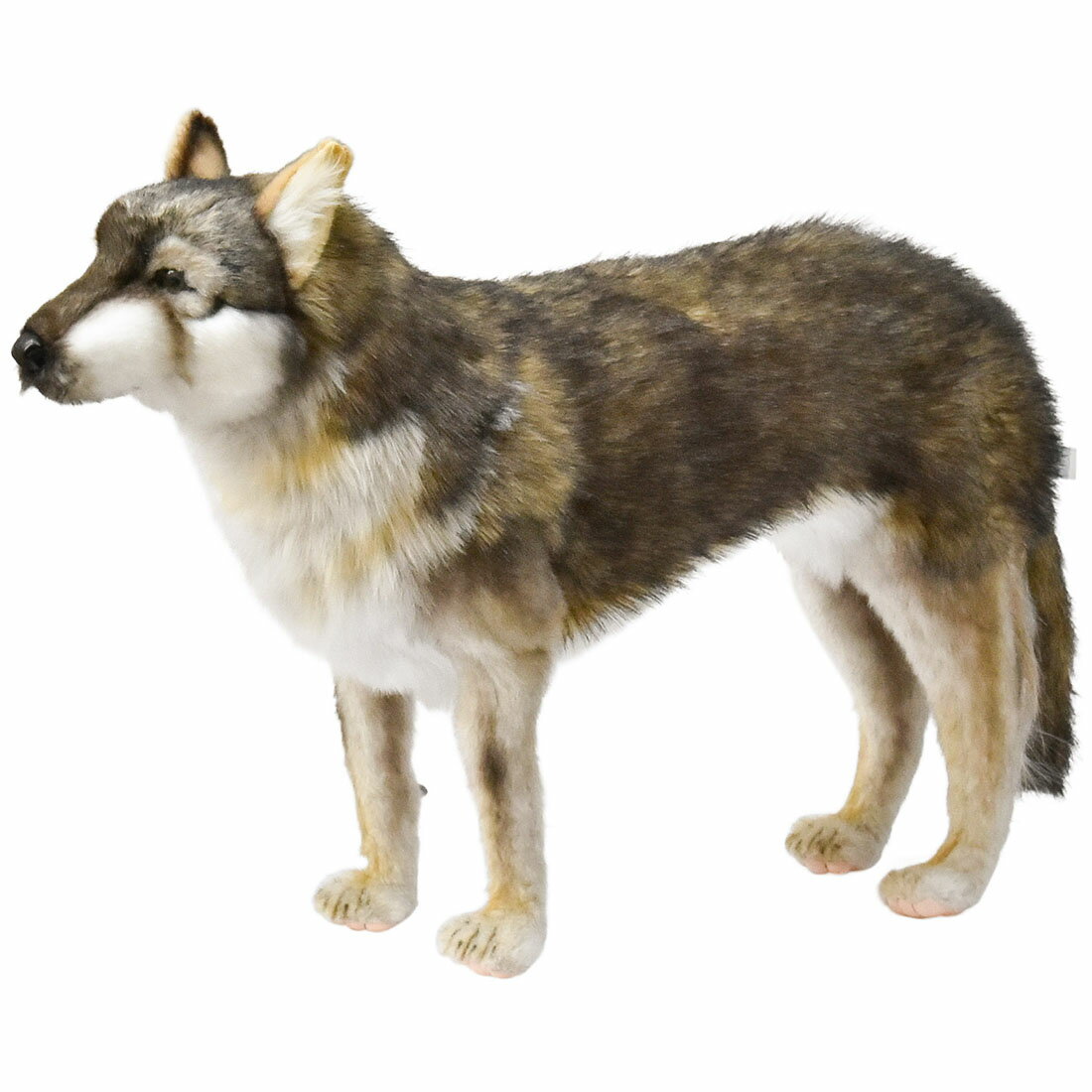 樂天商城 - HANSA 6760 オオカミ60 全長：60cm WOLF STANDING BH6760 ぬいぐるみ ハンサ 狼 クリスマス 誕生日 プレゼント 動物 犬 猫 鳥 うさぎ ペンギン アニマル 置物 人形 フィギュア KOESEN ケーセン 大きい マスコット 実物大 大型