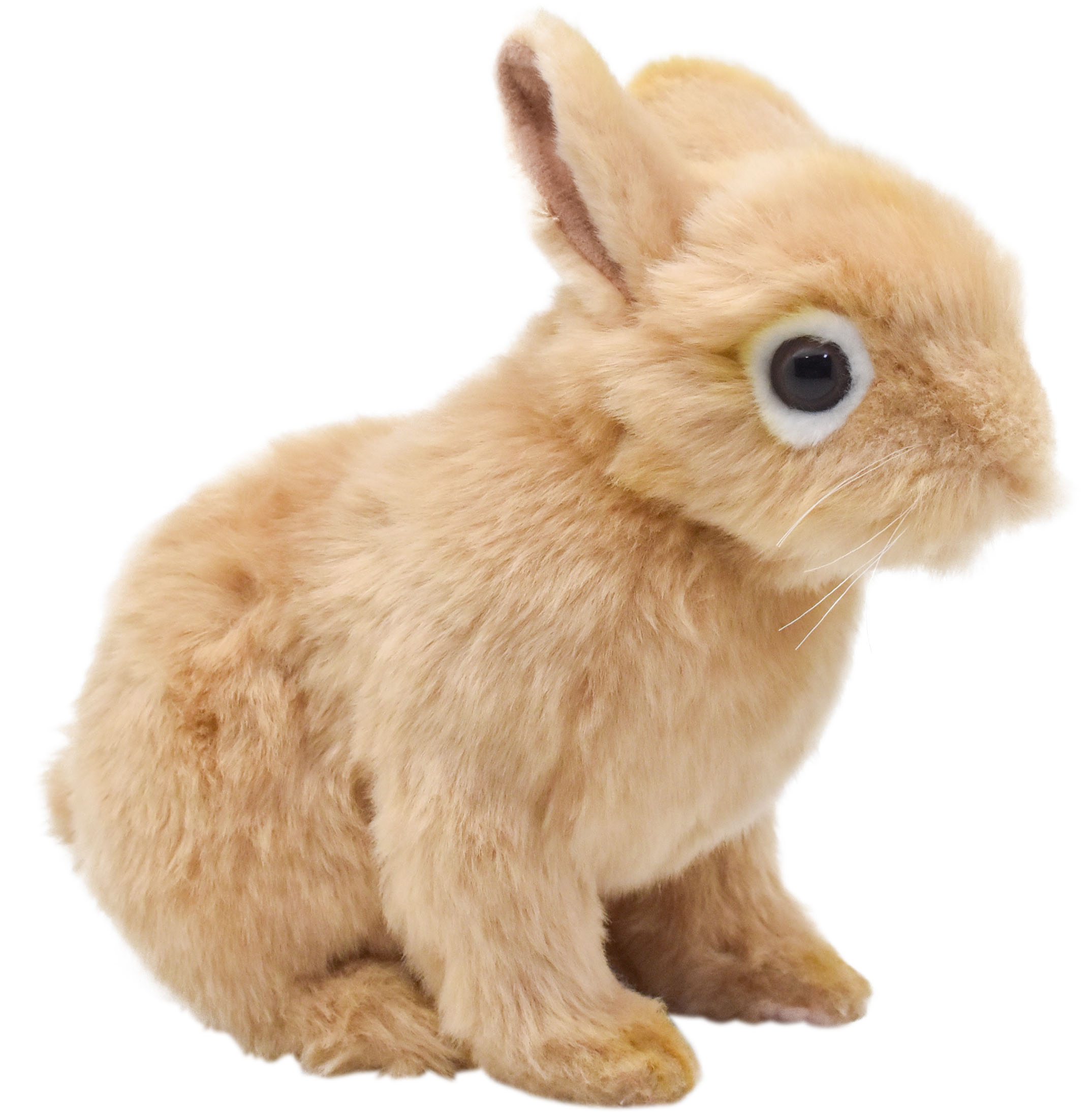 乐天商城 - HANSA 7022 ネザーランド・ドワーフ21 全長：21cm BUNNY BH7022 ぬいぐるみ ハンサ ウサギ 兎 クリスマス 誕生日 プレゼント 動物 犬 猫 鳥 うさぎ ペンギン アニマル 置物 人形 フィギュア KOESEN ケーセン 大きい マスコット 実物大 大型