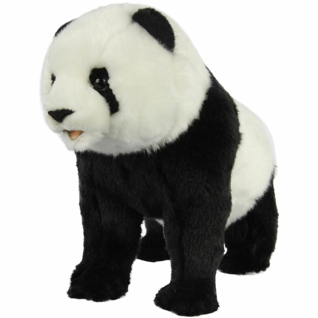 乐天商城 - HANSA BH8323 ジャイアントパンダ(Taipei Zoo) 33 GIANT PANDA リアル ぬいぐるみ ハンサ クリスマス 誕生日 プレゼント 動物 犬 猫 鳥 うさぎ ペンギン アニマル 置物 人形 フィギュア KOESEN ケーセン 大きい マスコット 実物大 大型 ビッグ おすすめ かわいい おしゃれ