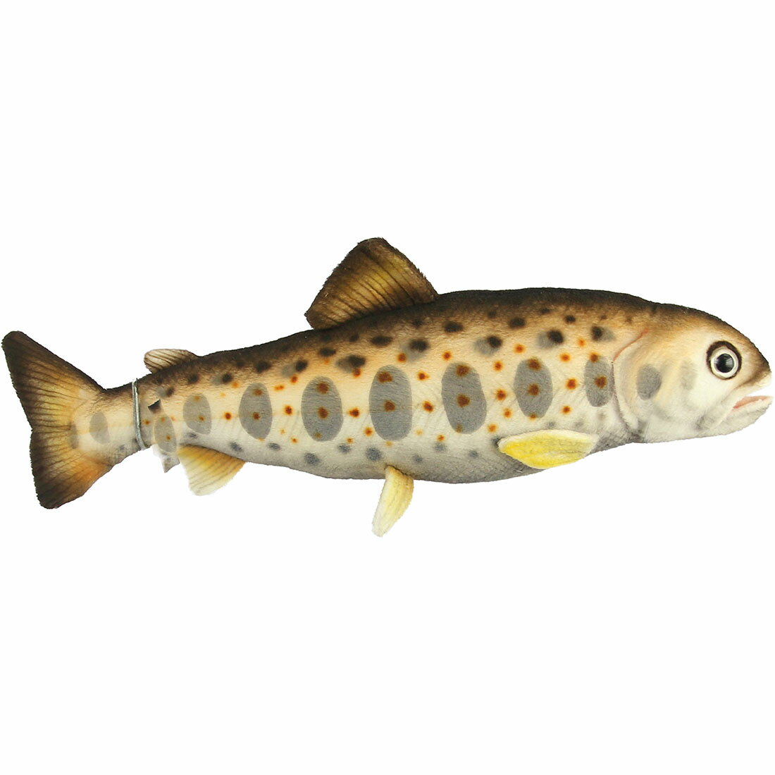 Dog - HANSA BH8509 アマゴ 全長37cm 渓流 魚 日本固有種 リアル ぬいぐるみ ハンサ 誕生日 プレゼント 動物 犬 猫 鳥 うさぎ ペンギン アニマル 置物 人形 フィギュア 大きい マスコット 実物大 大型 ビッグ おすすめ かわいい おしゃれ