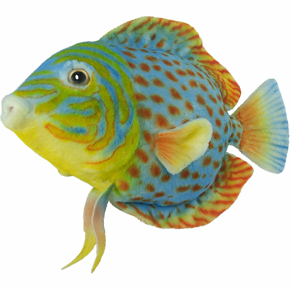 乐天商城 - HANSA BH8514 ディスカス 全長28cm 熱帯魚の王様 魚 リアル ぬいぐるみ ハンサ 誕生日 プレゼント 動物 犬 猫 鳥 うさぎ ペンギン アニマル 置物 人形 フィギュア 大きい マスコット 実物大 大型 ビッグ おすすめ かわいい おしゃれ